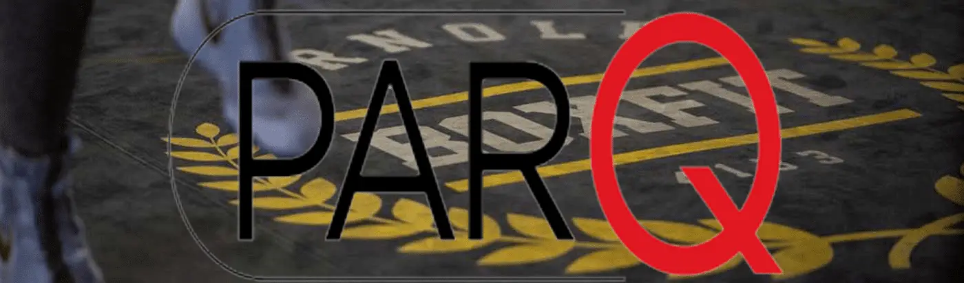 PAR-Q-Fragebogen zum Mitgliederantrag Arnold Boxfit Pratteln